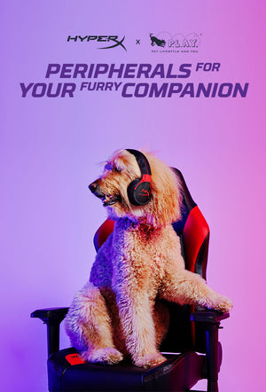 Player 2 - The Gamer's Companion