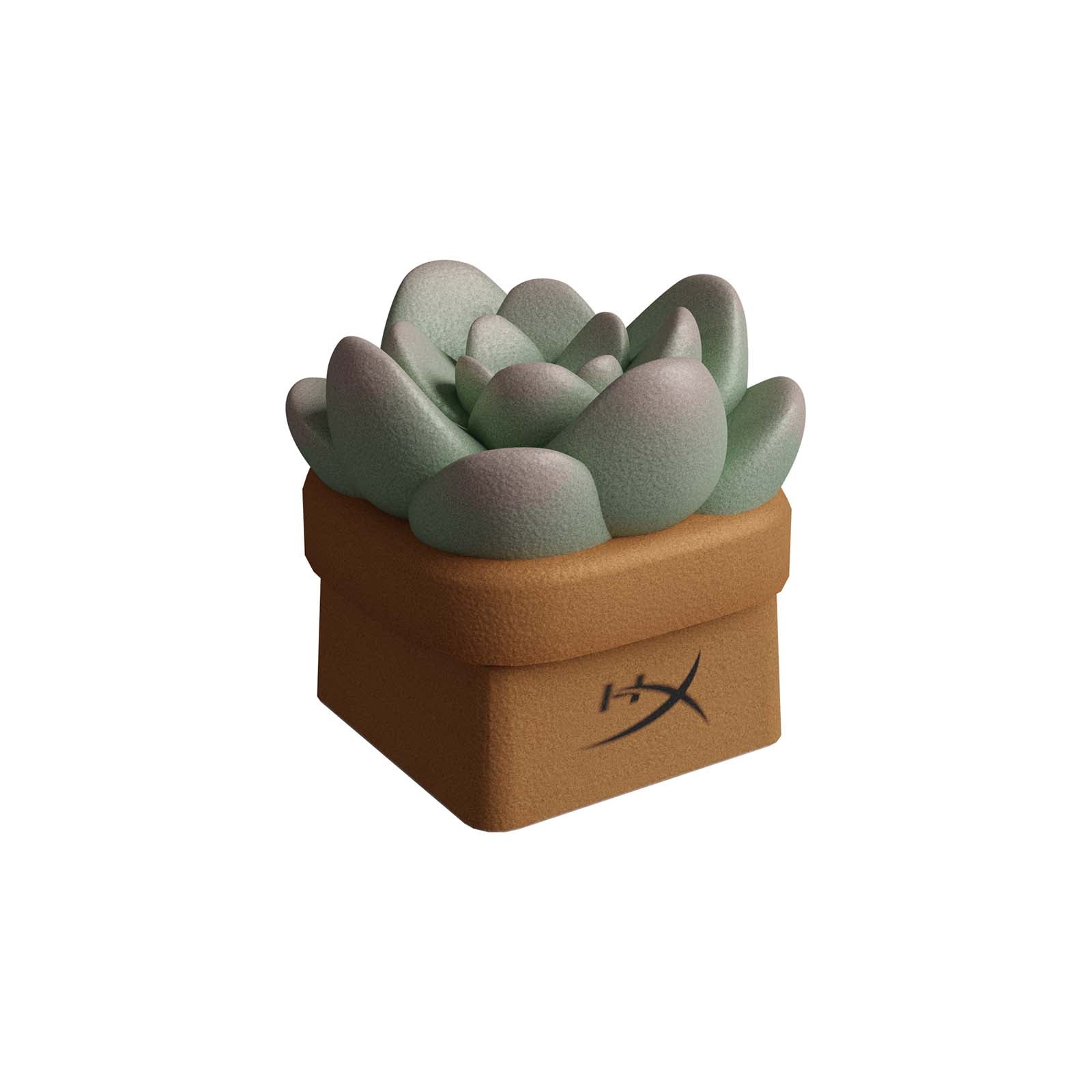 HX3D Keycap - Sally the Succulent