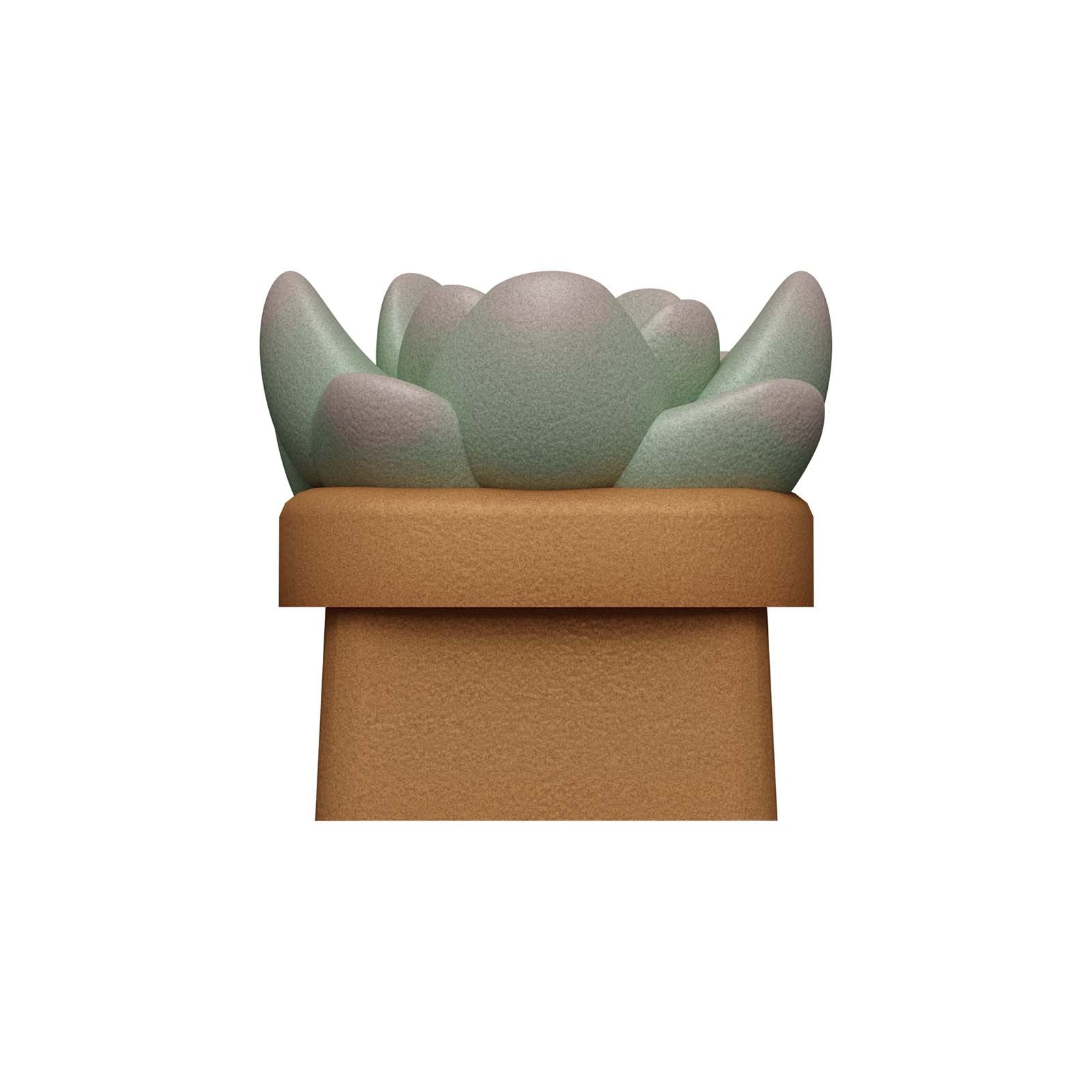 HX3D Keycap - Sally the Succulent
