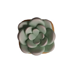 HX3D Keycap - Sally the Succulent